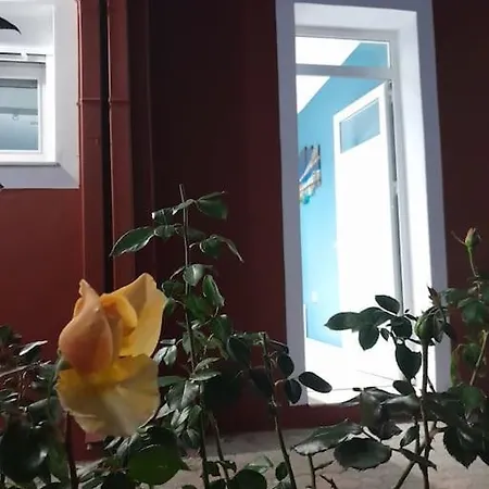 Salavantes House Apartment
